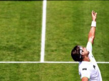 ATP Hertogenbosch 2013: David Ferrer eliminado; ATP Eastbourne 2013: Feliciano López a 2da ronda