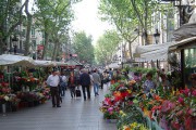 1493Los delincuentes de las diferentes zonas de Barcelona