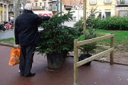2055Puntos de recogida para los abetos en Barcelona
