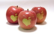 appleonapple_12 appleonapple_12