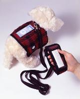 1644Mi perro tiene un iPod