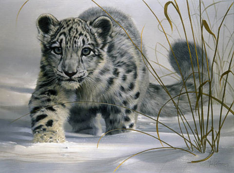 Apple comienza las pruebas de Snow Leopard 10.6.3