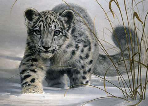 El desarrollo de Snow Leopard 10.6.5 va viento en popa