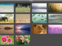 Ya puedes descargar los nuevos fondos de pantalla de Lion