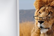 Panic actualiza sus aplicaciones para hacerlas compatibles con Lion