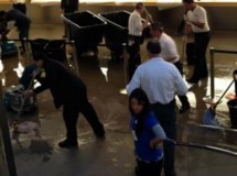 Inundaciones en la Apple Store de La Quinta Avenida