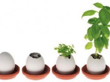 Manualidades con niños: Plantas en cáscaras de huevo
