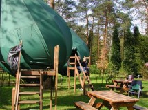 Viajar a Holanda para dormir en los árboles