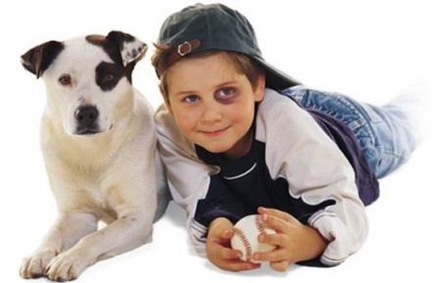 Superar el miedo a los perros