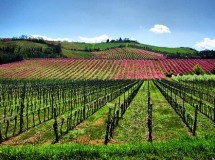 La primavera: una época mágica en el calendario escolar