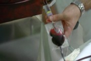 Los niños conciencian sobre la donación de sangre