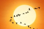 Cursos de verano en Barakaldo