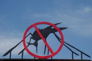 La lucha contra la malaria va por buen camino