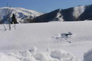 Niños aprenden a esquiar en Sierra Nevada
