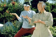 4709Cine para todos: Karate Kid