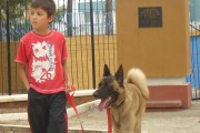 Relación entre el asma y las mascotas