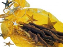 Dulces navideños para regalar: Sarmientos de chocolate