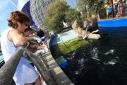 8466Encuentro con pingüinos en el Oceanogràfic de Valencia