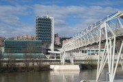 Talleres educativos sobre los bosques en Valladolid
