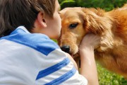 8963Perros que ayudan a niños con cáncer