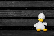 Demasiados abandonos de hijos adoptivos