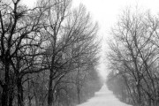 Ver la nieve por primera vez