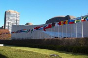 10100Los niños podrán reclamar sus derechos ante una instancia internacional