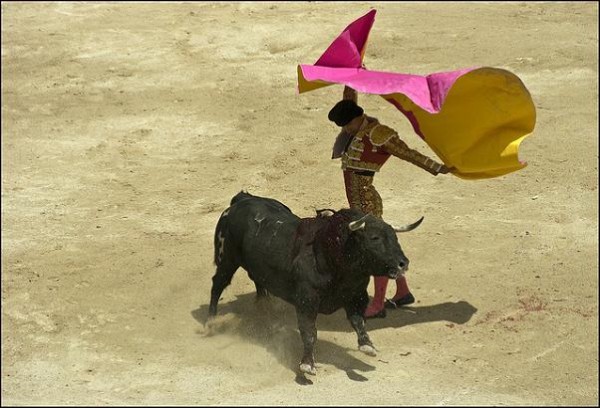 RTVE emitirá toros en horatio protegido