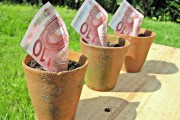 11335La economía y los niños