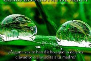 11671El Monasterio de Piedra celebra el Día de la Madre con un concurso