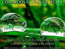 El Monasterio de Piedra celebra el Día de la Madre con un concurso