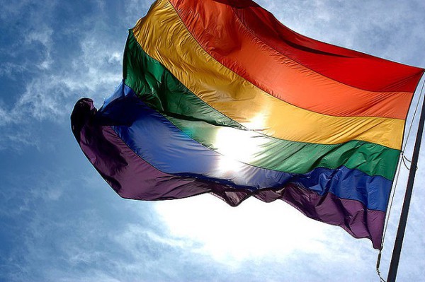 imagen de bandera oficial