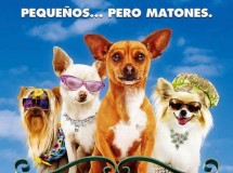 Televisión en familia: Un chihuahua en Beverly Hills