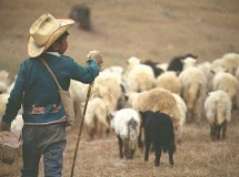 Poesía infantil: Las abarcas desiertas