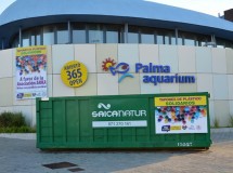 Fiesta benéfica en el Palma Aquarium para los niños con parálisis cerebral