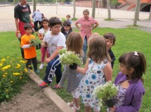 La jardinería para mejorar sus habilidades intelectuales, sociales y físicas