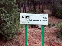Viajar con niños: Ruta de Félix Rodríguez de la Fuente