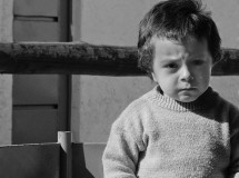 Las adopciones y el reabandono