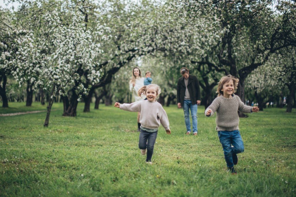 Qu Son Las Luchas De Poder Entre Padres E Hijos