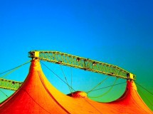 Bolivia prohíbe el uso de animales en los circos