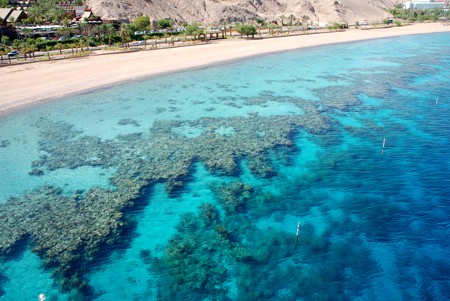 Informe insta a actuar para evitar la desaparición de los corales