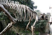 4626Dinosaurio en España