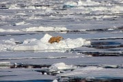 El clima de Europa podría cambiar