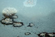 El calentamiento global afecta también al arte