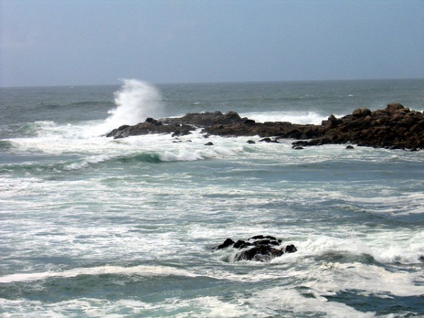acidificacion oceanica