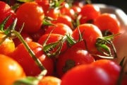 5939Tomates que se adaptan a la sequía