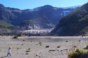 Los caballos primitivos fueron victimas del calentamiento global