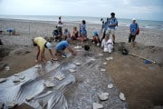 6909Los dinosaurios tenían pulgas, estas eran gigantes