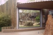8353Nuevo delfinario para el zoo de Barcelona