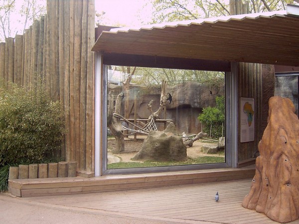 imagen zoo barcelona